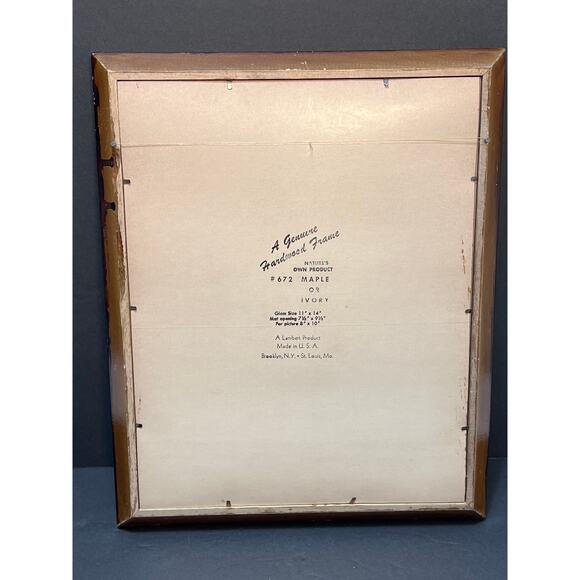 Vtg Pheasant Lithograph Print Arthur Singer Flora Fauna 14x16 Framed Botanical - Picture 8 of 9